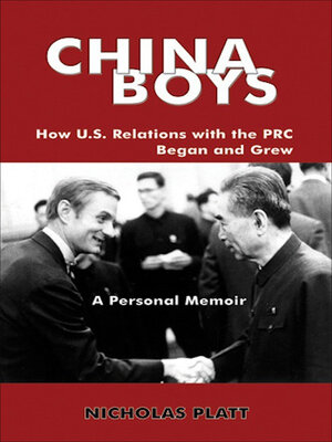 cover image of China Boys